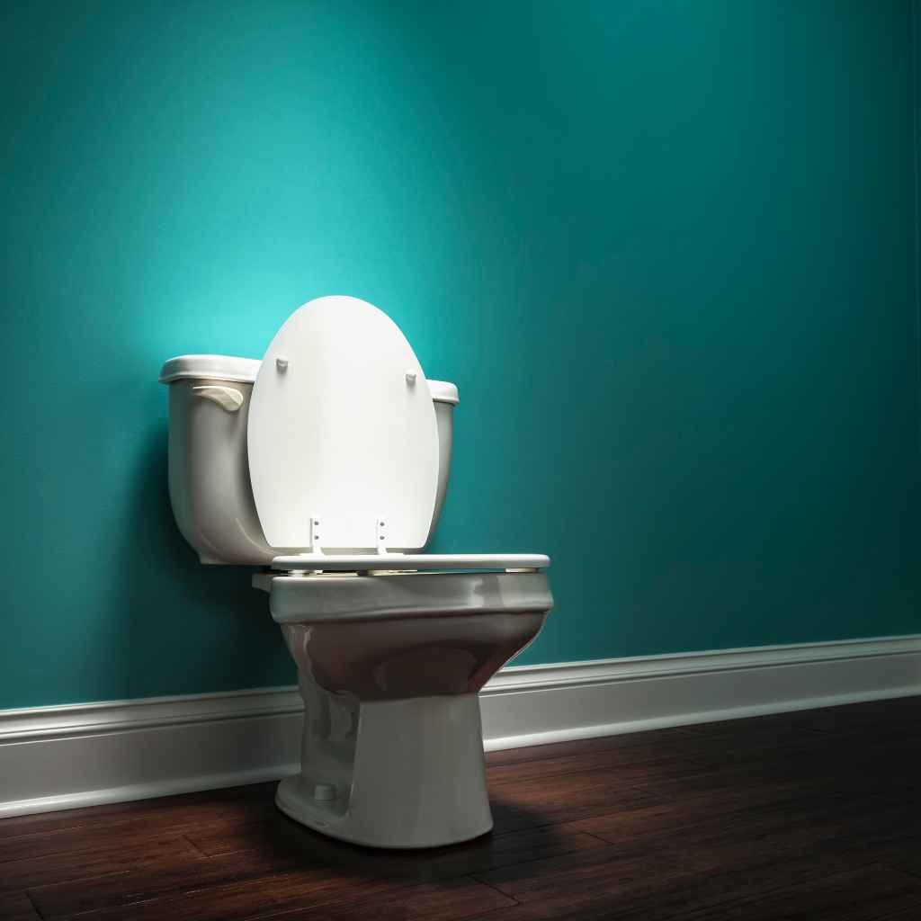 Are All Elongated Toilet Seats the Same Size