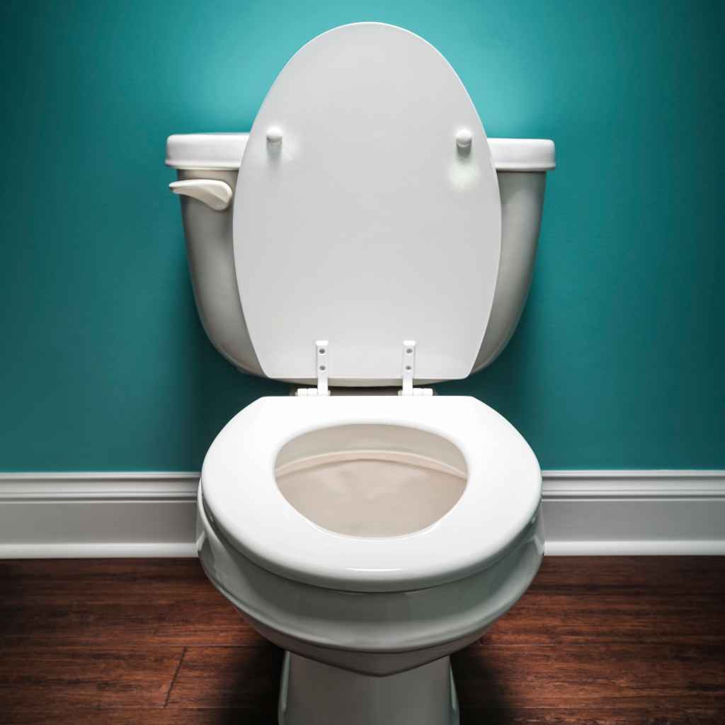 Understanding Toilet Seat Shapes