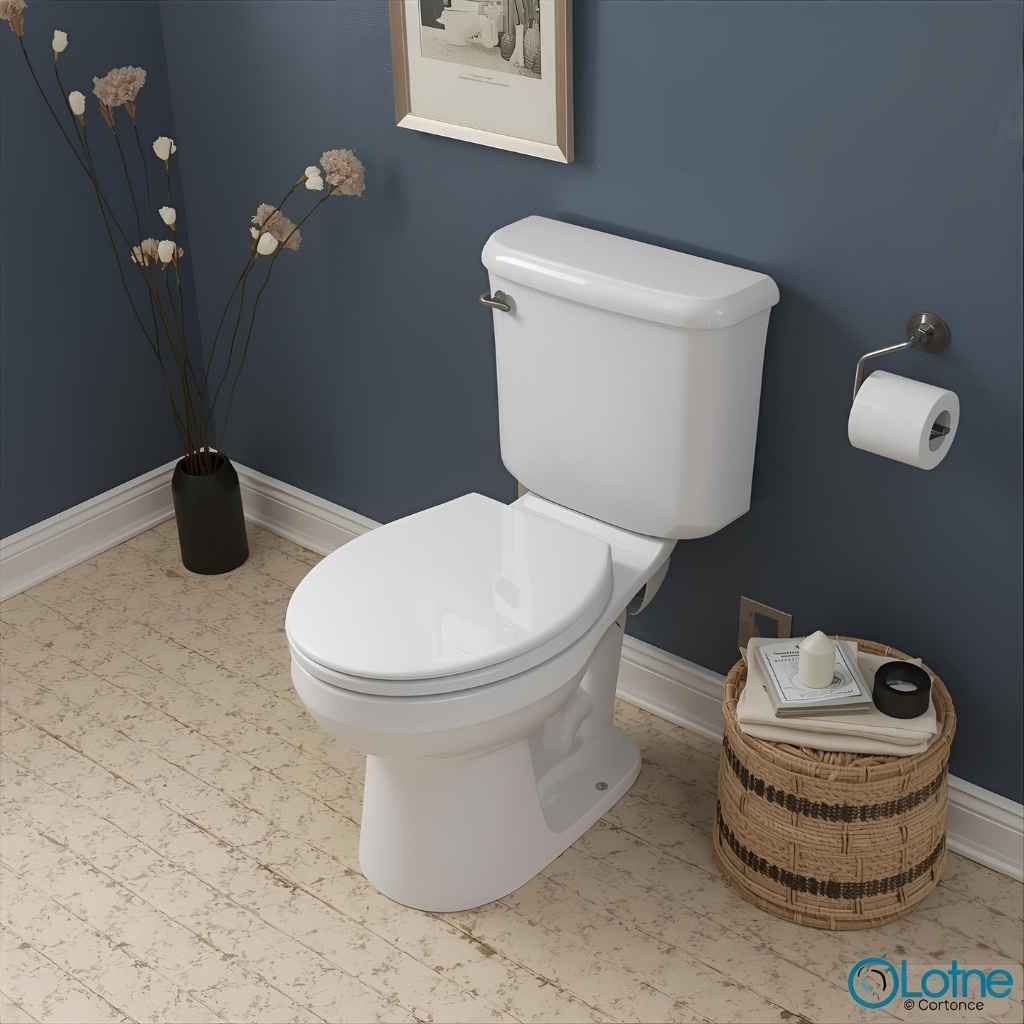 Understanding the "Round" Toilet Seat