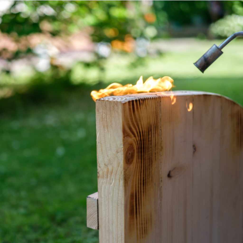 Inspiring Project Ideas