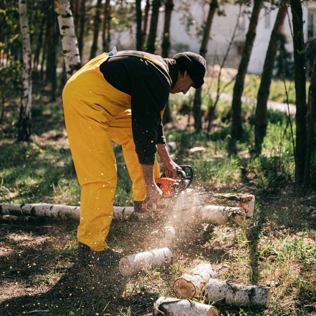Alternatives To Chainsaw For Wet Wood