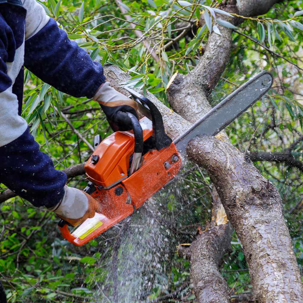 Can You Rent a Chainsaw