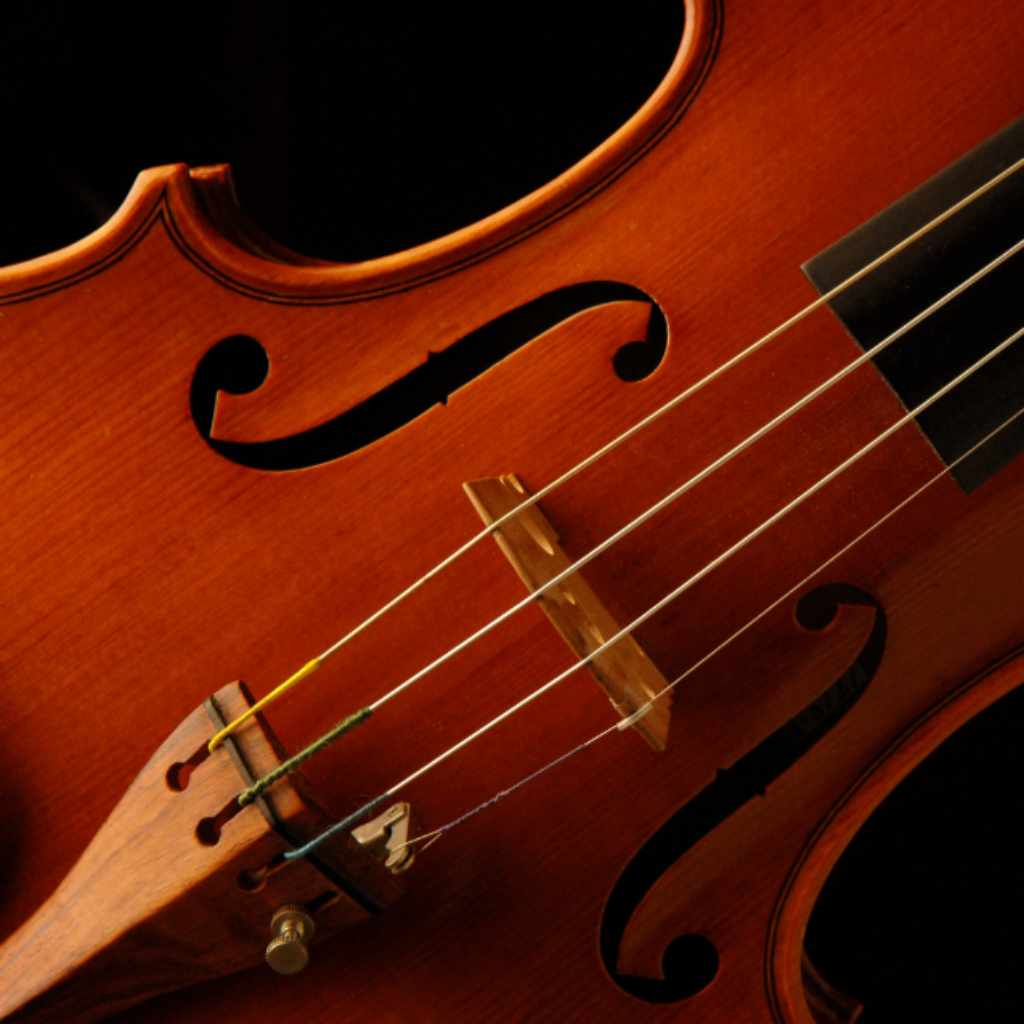 Identifying Rosewood Vs Other Dark Woods